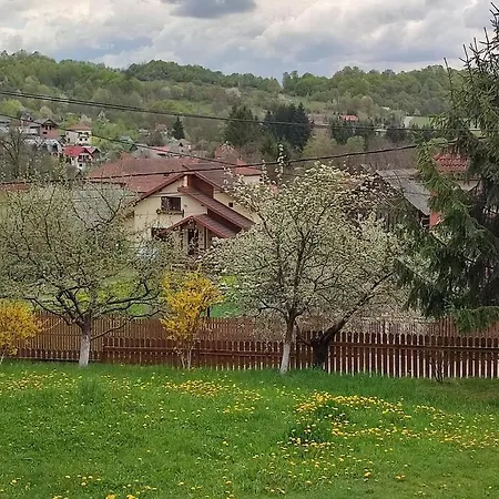 In Traditional Village Bradulet, Arges County