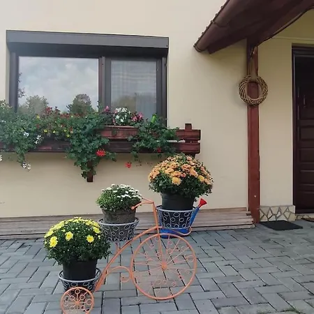 In Traditional Village Bradulet, Arges County