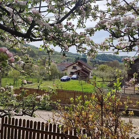 In Traditional Village Bradulet, Arges County * Bradulet