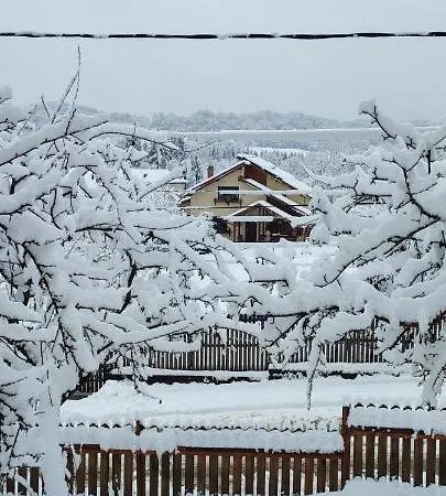 In Traditional Village Bradulet, Arges County