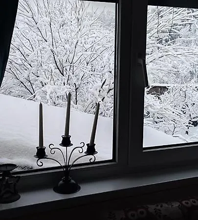 In Traditional Village Bradulet, Arges County Holiday home *