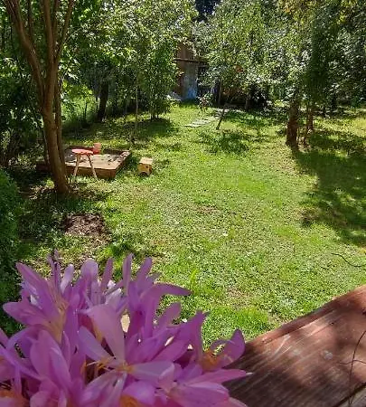 In Traditional Village Bradulet, Arges County Holiday home