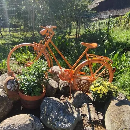 In Traditional Village Bradulet, Arges County Holiday home *