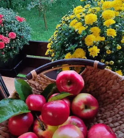 Holiday home In Traditional Village Bradulet, Arges County