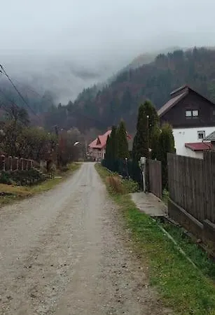 In Traditional Village Bradulet, Arges County *