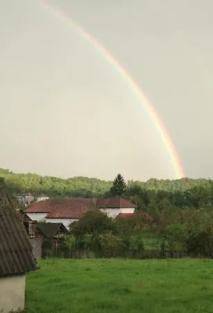 In Traditional Village Bradulet, Arges County Bradulet