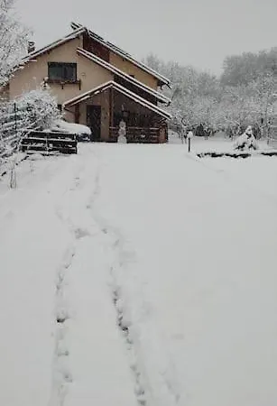 In Traditional Village Bradulet, Arges County Holiday home *