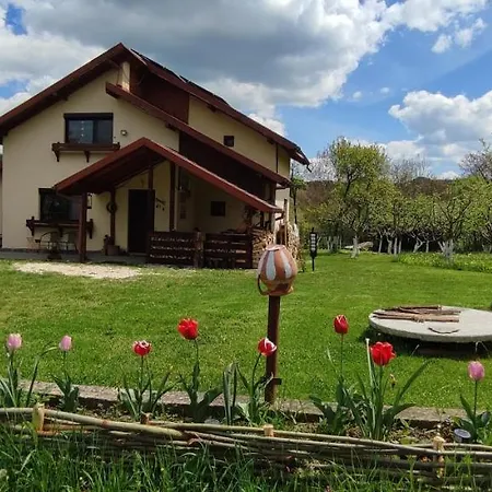 Holiday home In Traditional Village Bradulet, Arges County *