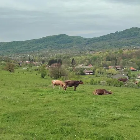 In Traditional Village Bradulet, Arges County Holiday home