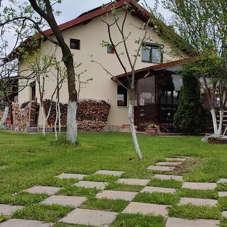 Holiday home In Traditional Village Bradulet, Arges County *