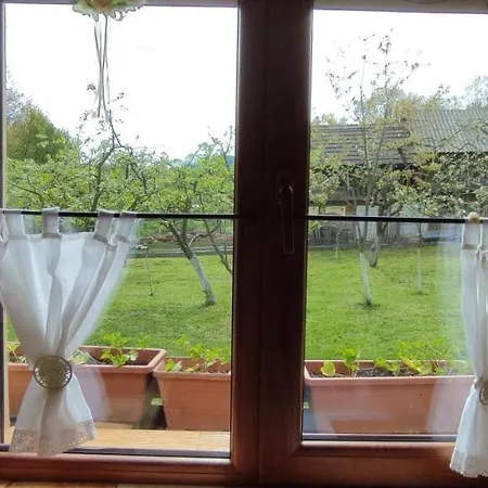 In Traditional Village Bradulet, Arges County Holiday home