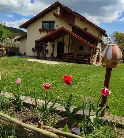 In Traditional Village Bradulet, Arges County Bradulet