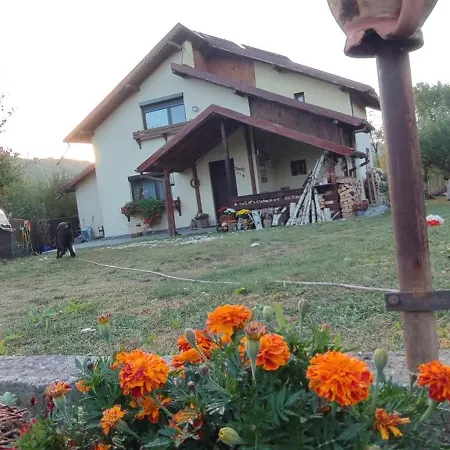 Holiday home In Traditional Village Bradulet, Arges County *