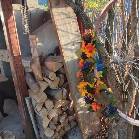 In Traditional Village Bradulet, Arges County