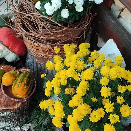In Traditional Village Bradulet, Arges County