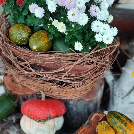 In Traditional Village Bradulet, Arges County Holiday home *