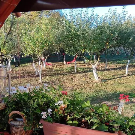 Holiday home In Traditional Village Bradulet, Arges County Bradulet