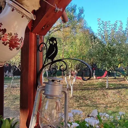 In Traditional Village Bradulet, Arges County