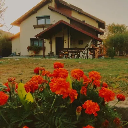 Holiday home In Traditional Village Bradulet, Arges County